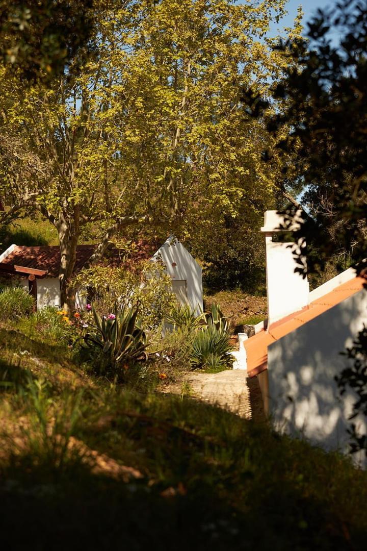 Quinta Do Marmeleiro - Casa Marmeleiro Villa Santiago do Cacem Luaran gambar