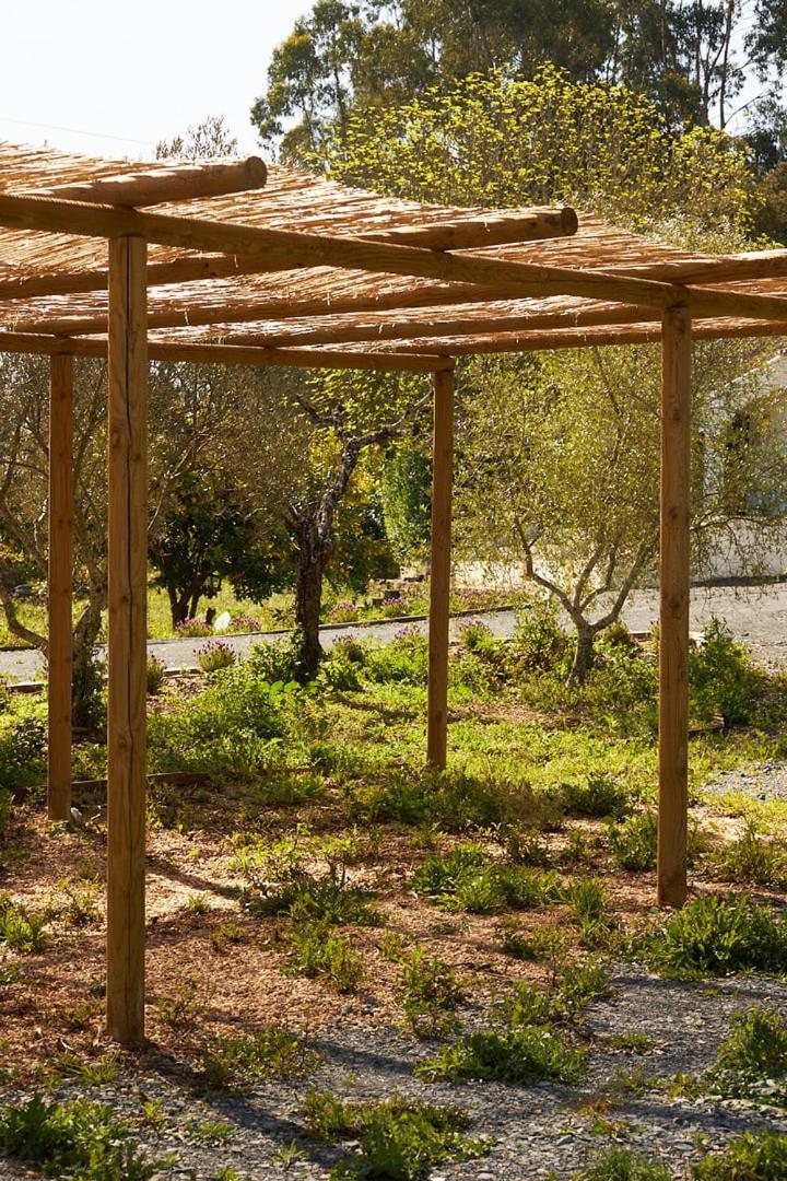 Quinta Do Marmeleiro - Casa Marmeleiro Villa Santiago do Cacem Luaran gambar