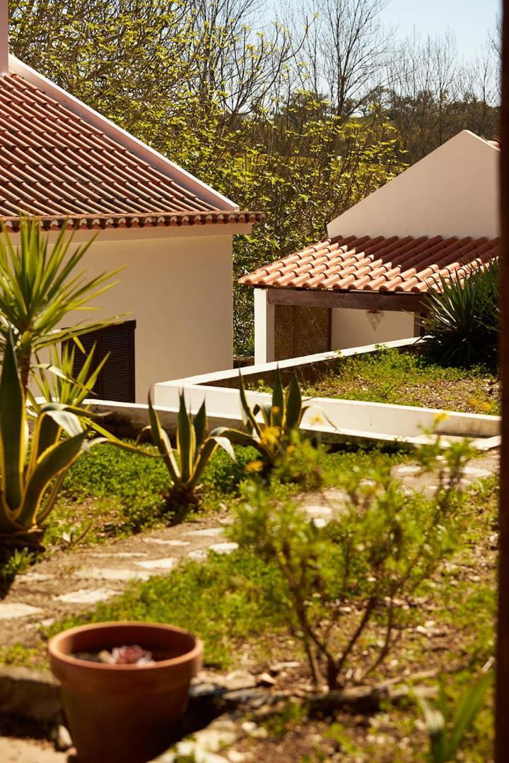 Quinta Do Marmeleiro - Casa Marmeleiro Villa Santiago do Cacem Luaran gambar