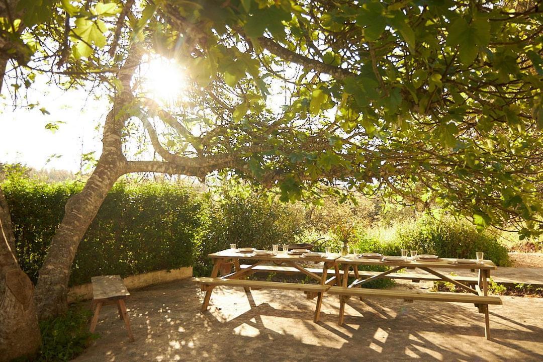 Quinta Do Marmeleiro - Casa Marmeleiro Villa Santiago do Cacem Luaran gambar